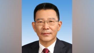 王灵桂任国务院港澳办副主任，主要研究方向含全球战略和港澳问题