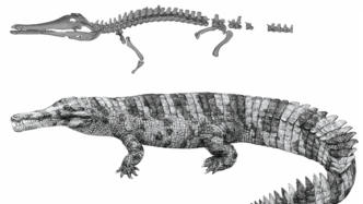 韩愈写下《鳄鱼文》后鳄鱼终在岭南灭绝，研究：人类活动导致