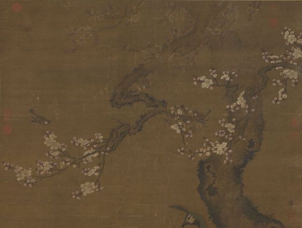 明 吕纪 《杏花孔雀》轴（局部）  台北故宫博物院藏