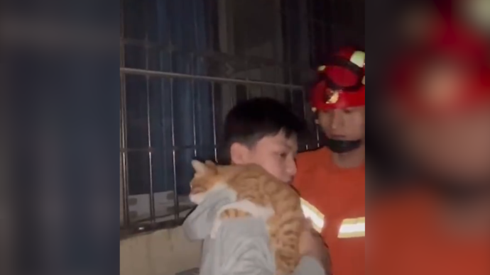 少年为救小猫被困楼顶，猫猫抱紧主人不撒手