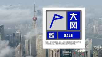 上海发布大风蓝色预警！预计明天中午起陆地最大阵风6至7级