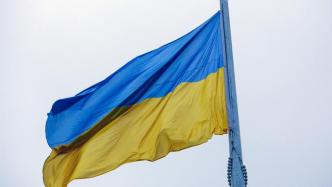 乌总统办公室主任顾问：乌克兰不能接受瑞典或奥地利中立模式