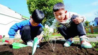 学前教育这十年：同在蓝天下，共享普惠园