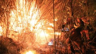 云南森林消防：大理金甲山火场已实现全线合围，火势基本控制