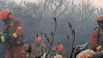 大理金甲山山火扑灭，600余名消防救援人员奋战56小时