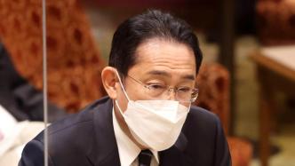 岸田文雄因震后19分钟即赶到首相官邸被赞，在野党：过度宣传