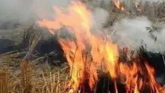 云南怒江村民焚燒秸稈引發(fā)山火，當(dāng)?shù)匾呀M織四百余人前往撲救