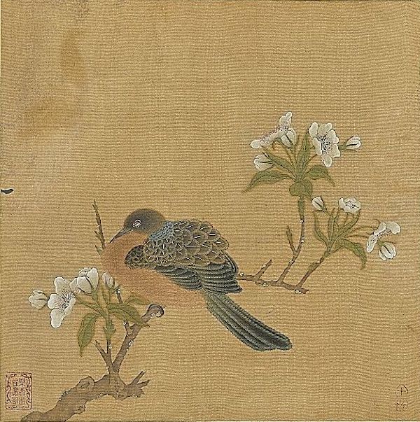 （传）明 仇英 《花鸟册〈梨花斑鸠〉》 台北故宫博物院藏