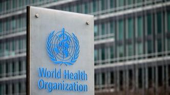 管控国际旅行——世界卫生组织和《国际卫生条例》