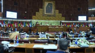 伊斯兰合作组织第48次外长会聚焦和平与发展等问题