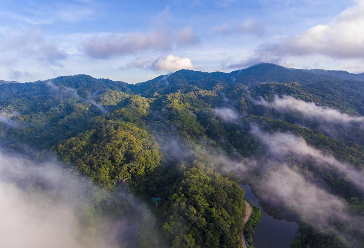 海南山林图片