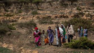 埃塞俄比亚政府单方面宣布停战，允许人道援助进入提格雷地区