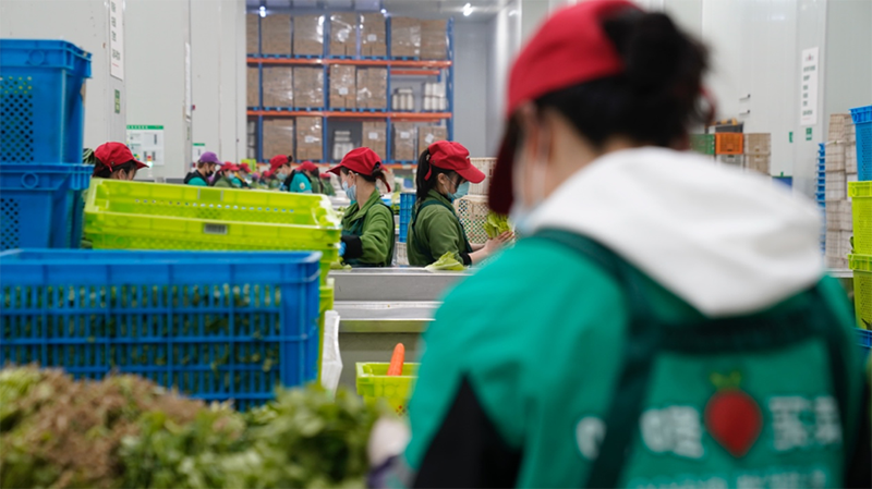 货仓&nbsp;&nbsp;叮咚买菜供图