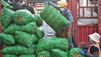 上海：“菜篮子”充足，重点批发市场的蔬菜日周转量略高于平日水平