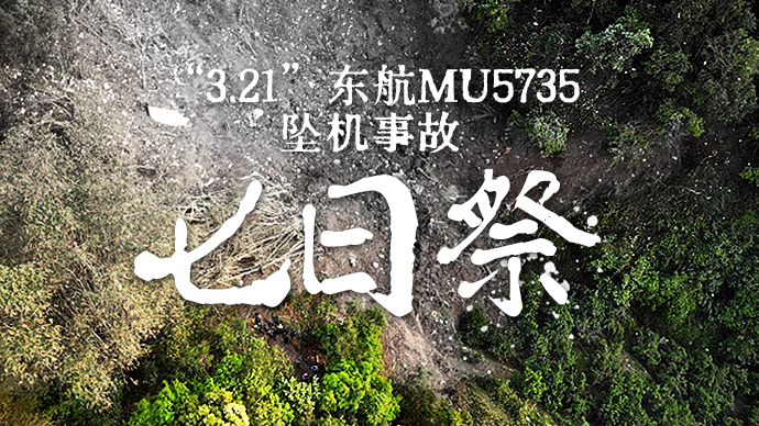 东航MU5735坠机事故：七日祭