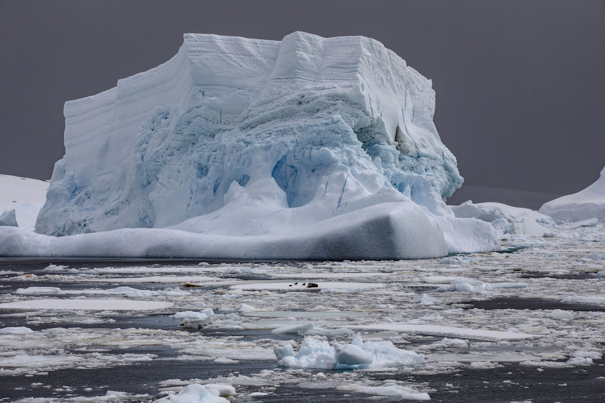 NASA：南极洲东部冰川融化将带来巨大变化 - 2018年12月13日, 俄罗斯卫星通讯社