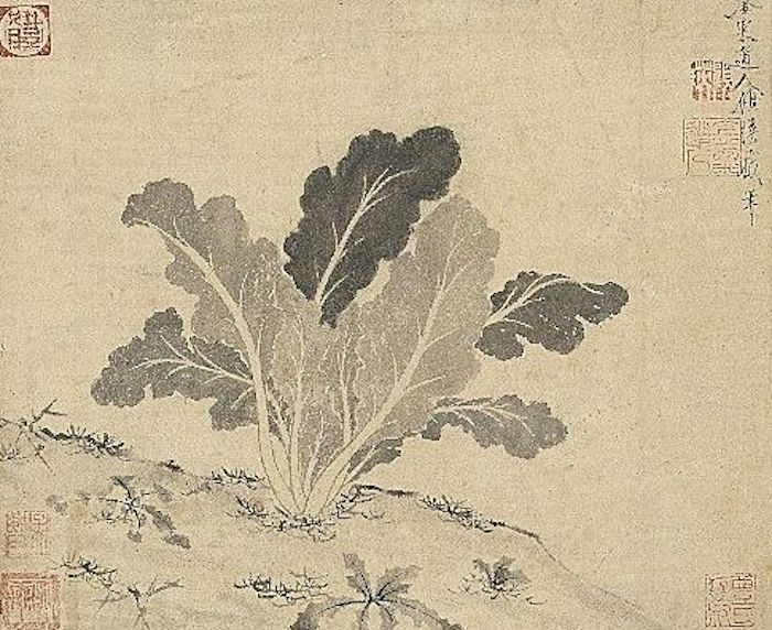 明 顾瑛 《蔬菜》 选自《历代名绘》册 台北故宫博物院藏