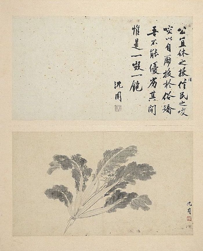 明 沈周 写意册《画白菜》台北故宫博物院藏