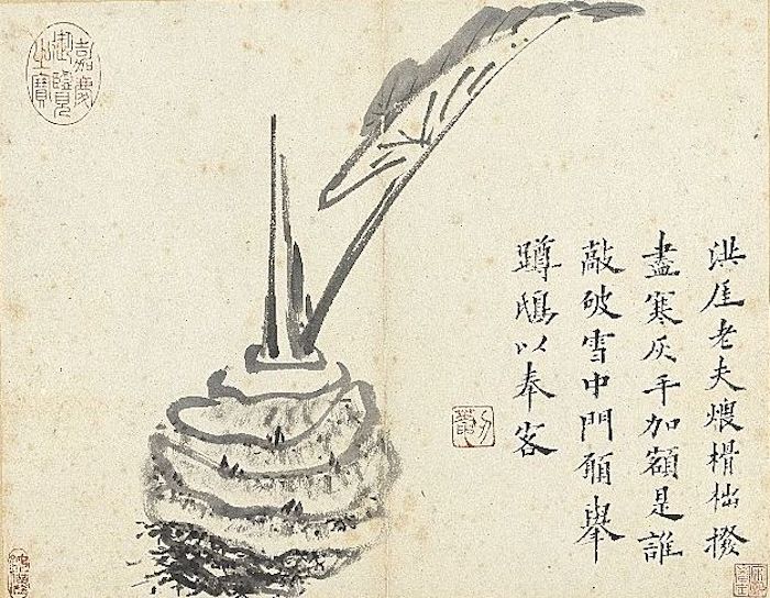清 朱耷 传綮写生册《芋》 台北故宫博物院