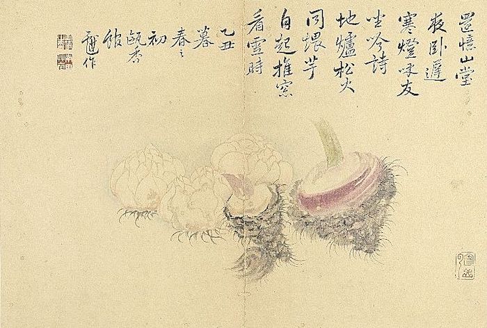 清 恽寿平 写生册《百合芋魁》台北故宫博物院藏