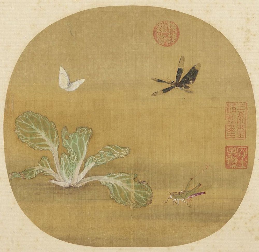 宋 许迪 《野蔬草虫》 本幅选自《宋元集绘》册 台北故宫博物院藏