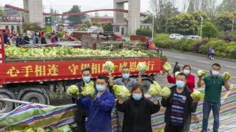 四川都江堰连夜调集120余吨蔬菜运往上海，支援抗疫工作