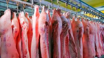 国家发改委：年内第三批中央冻猪肉收储工作启动