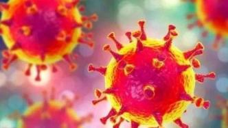 英国科学家最新研究：感染普通冠状病毒不会产生有效新冠抗体