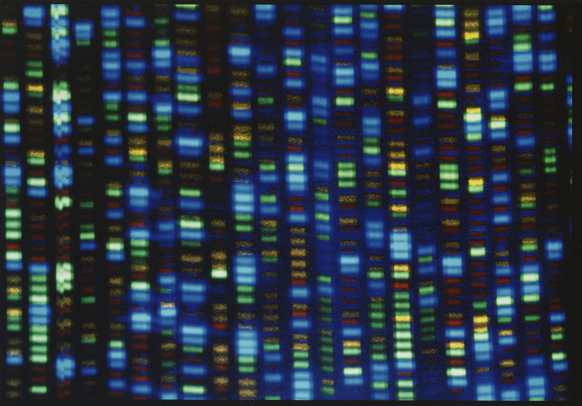 2022年3月31日，《科学》杂志发表的(de)文章显示，国际科学团队（tuandui）(dui)完成了第一个完整的(de)、无间隙的(de)人(ren)类基因组序列。