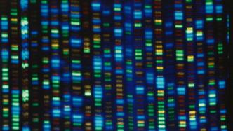 历史性突破！国际科学团队完成人类最完整的基因组序列