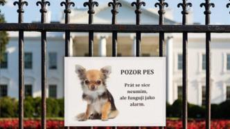 捷克劝俄外交官员辞职，俄方讽刺回应：美国小狗