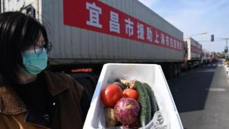长途跋涉24小时，湖北宜昌216吨农副产品运抵上海静安