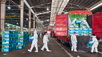 沪江桥批发市场调拨中心启用，已送出785吨无接触应急蔬菜