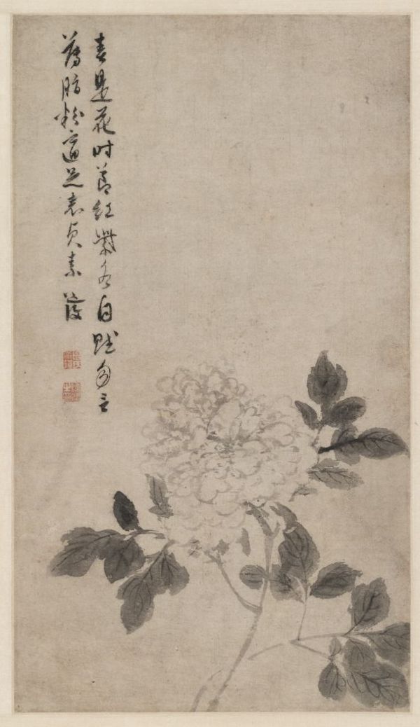 陈淳 《牡丹花卉图》轴 故宫博物院藏