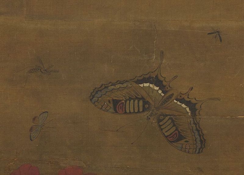 （传）宋人 《花王图》轴（局部） 台北故宫博物院藏