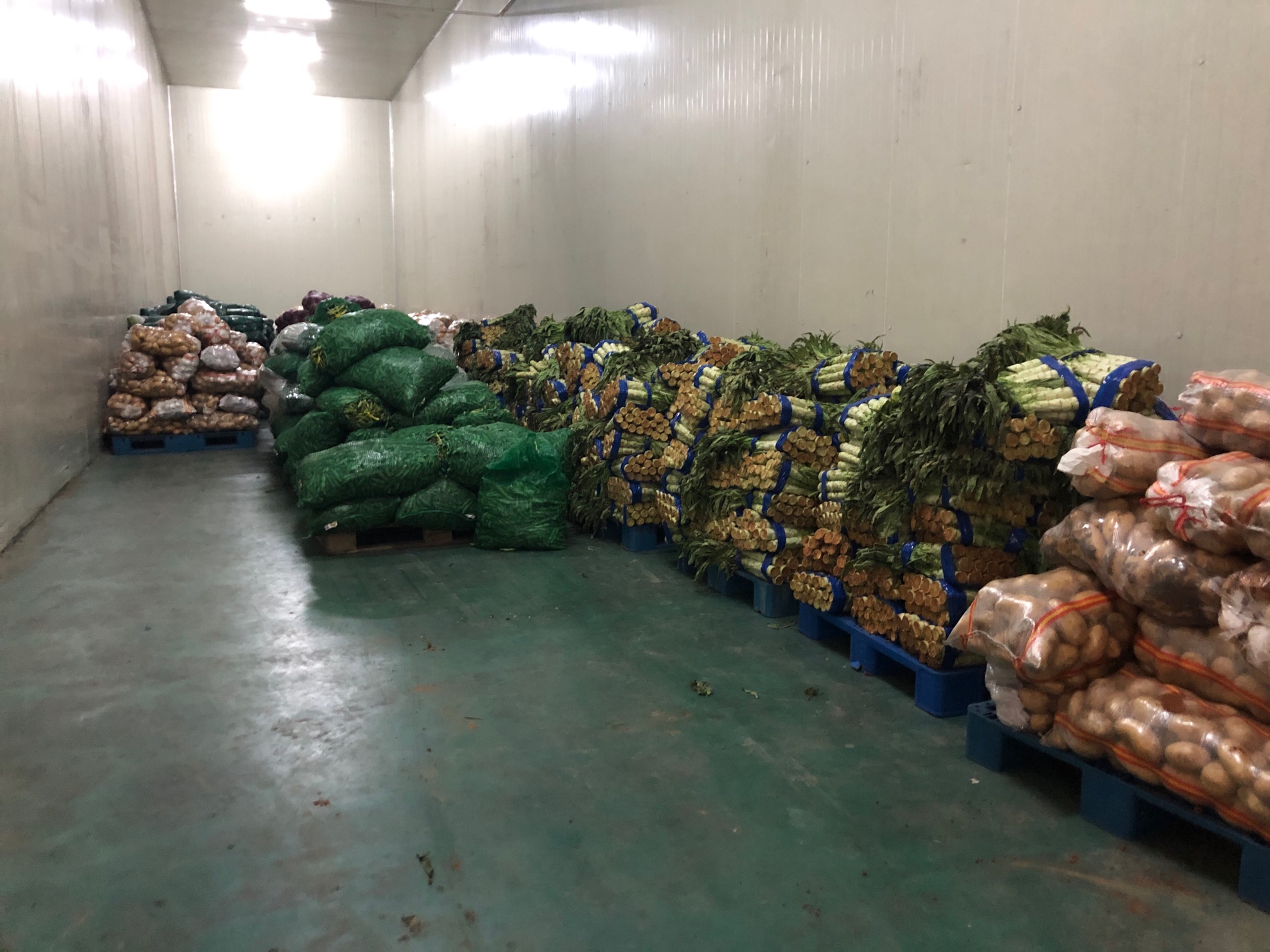上海嘉定保供企业:从江浙等地调运五千吨蔬菜供75万户居民
