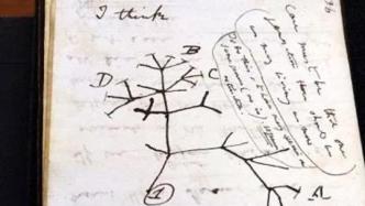 失窃21年的达尔文笔记被匿名归还，内含“生命之树”草图