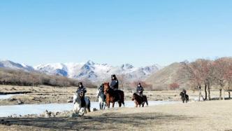 内蒙古巴林左旗公安组建6人骑警队：救助受伤动物，震慑盗猎