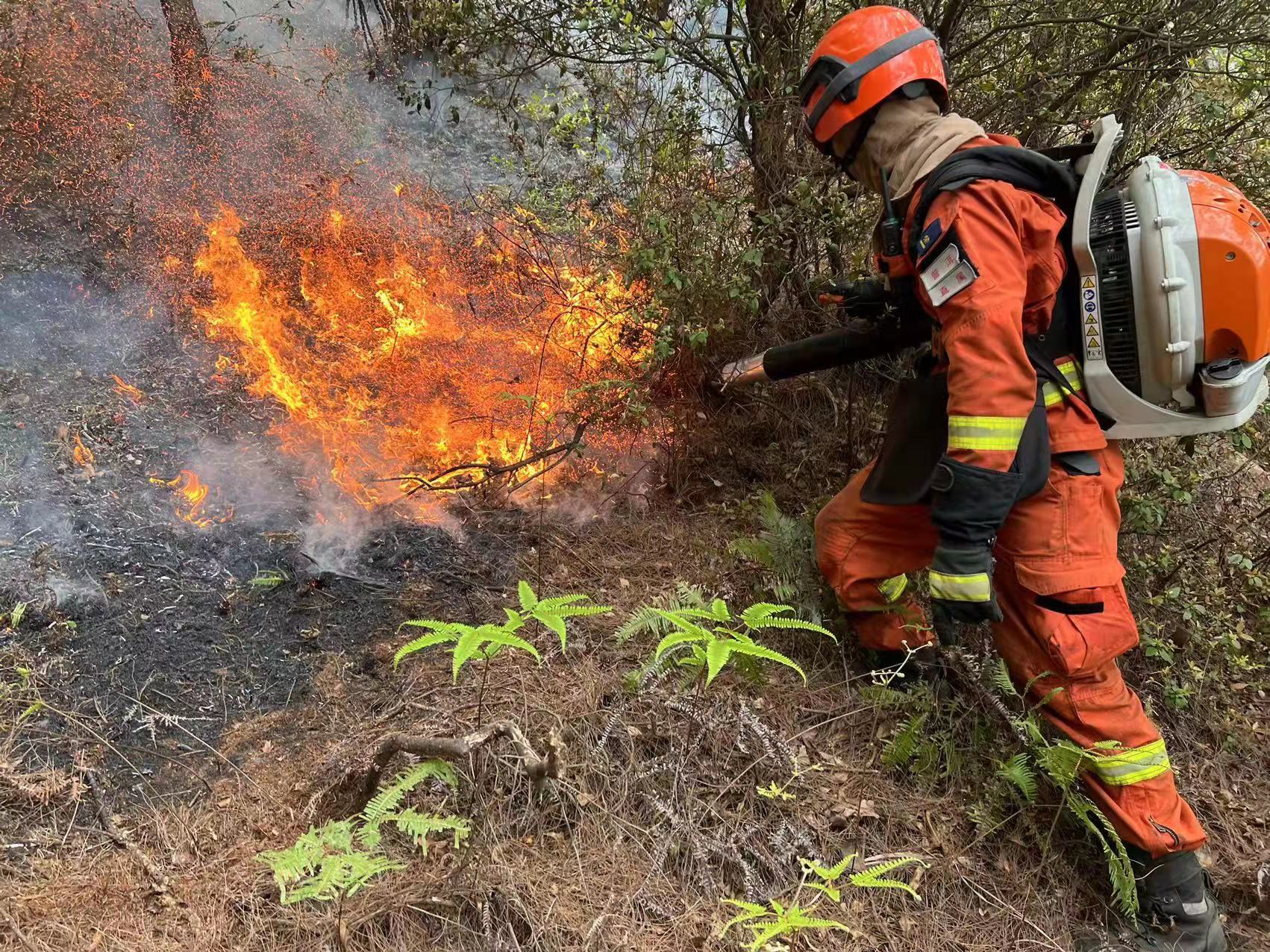 广西武鸣清明节发生森林火灾已被成功扑灭