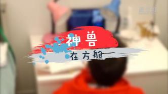 “神獸”在方艙