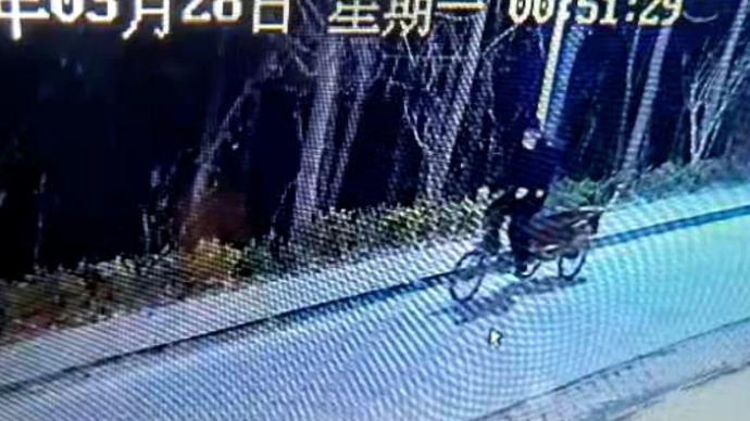 视频 澎湃新闻 thepaper.cn