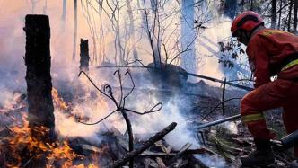 森林消防局：去年森林草原火灾起数不到千起，处于历史最低位