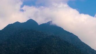 习近平海南行丨走进海南热带雨林国家公园五指山片区