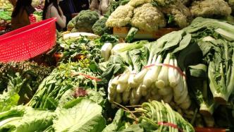 发改委：上海长春等地蔬菜价格涨幅较大，保供稳价后逐步回落