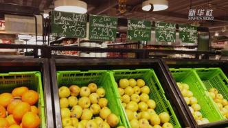 为平抑国内物价上涨，突尼斯禁止出口部分蔬菜水果