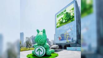 “绿马抱绿码”充气造型现武汉街头，商家：谐音保住绿码