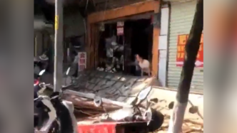 广西河池一店铺广告牌坠落，男子被压倒后经抢救无效死亡