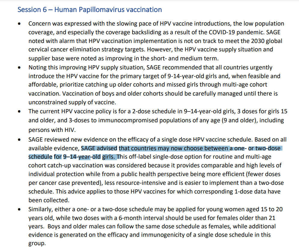 Part of the meeting minutes on HPV vaccine