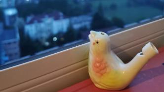 上海战疫丨阳台日记：一只向往自由的陶瓷小鸟引发的误会