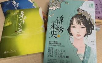 2013-2019：“锦绣未央抄袭案”维权始末